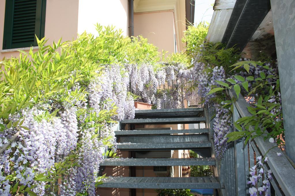 Hotel Villa Grazia Cesenatico Eksteriør bilde